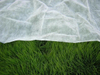 生物可降解100％聚丙烯无纺布，用于农业杂草屏障/杂草控制