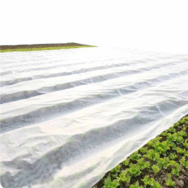 抗紫外线农业100％PP纺粘无纺布用于杂草控制