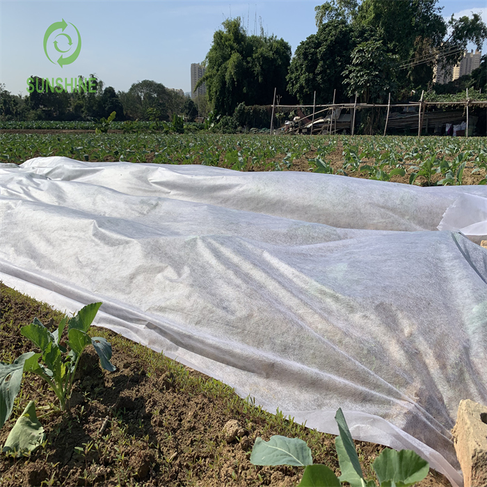 UV 15-70GSM 100%PP 农业无纺布杂草控制杂草垫花园覆盖织物