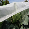 批发 18GSM 100% 聚丙烯农业花园覆盖无纺布农业地面覆盖物