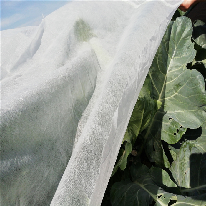 农业覆盖无纺布，用于杂草控制、防冻、抗紫外线、温室保护